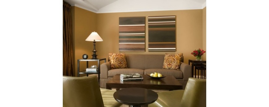 ¿Cuál es el mejor color para pintar el salón?