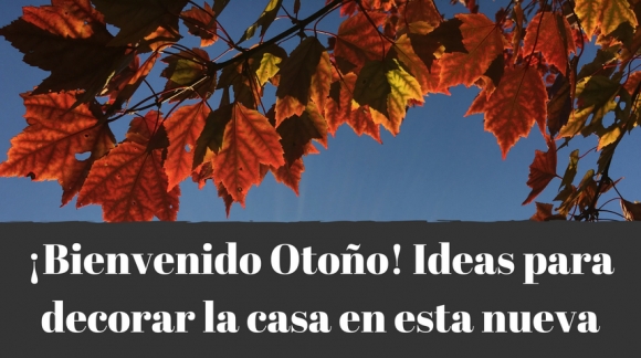 ¡Bienvenido Otoño! Ideas para decorar la casa en esta nueva estación