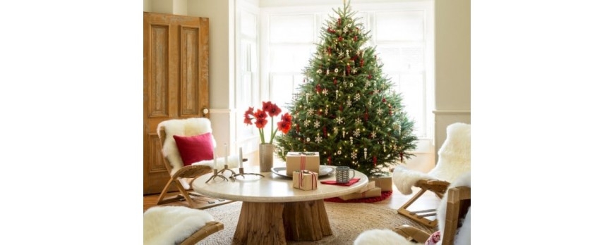 ¿Invitados en casa en Navidad? ¡Hazla lucir! Consejos para pintar tu casa antes de Navidad