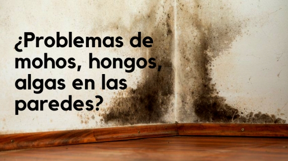 ¿Problemas de mohos, hongos, algas en las paredes?