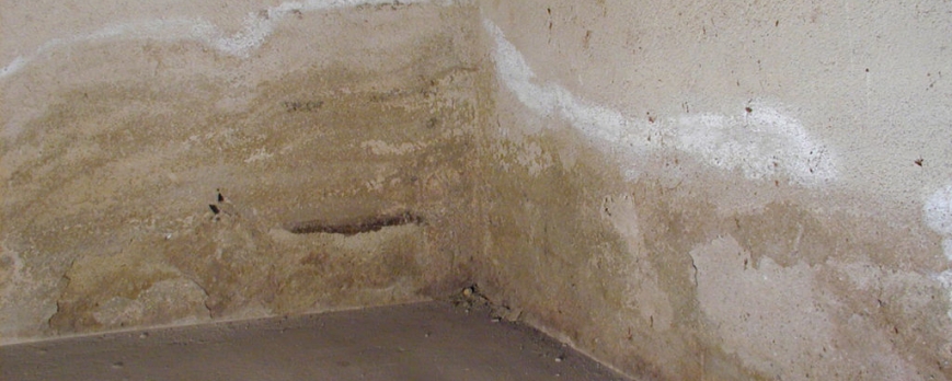 Consejos para quitar las manchas de humedad de las paredes